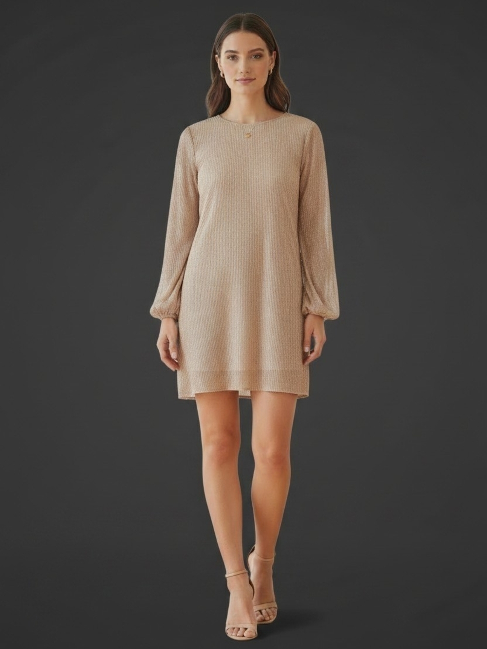 KEEPSAKE the Label Micro Pleated Metallic Shimmer Semi Sheer Shift Dress Small